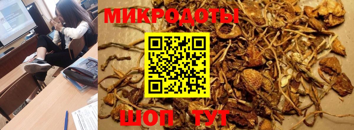 Псков  Галлюциногенные грибы Psilocybe  Вход с VPN 