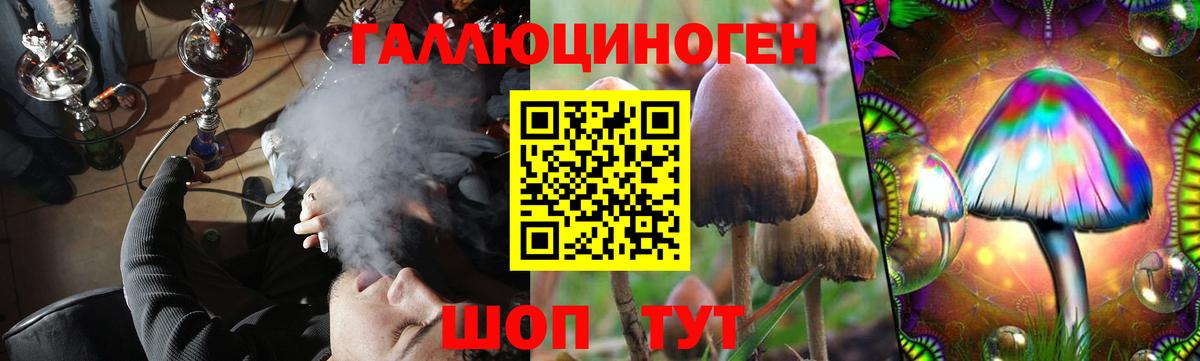 Псилоцибиновые грибы прущие грибы Псков